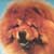 El Chow Chow